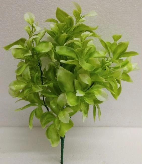 Bougainvillea Leaves Bunch x55